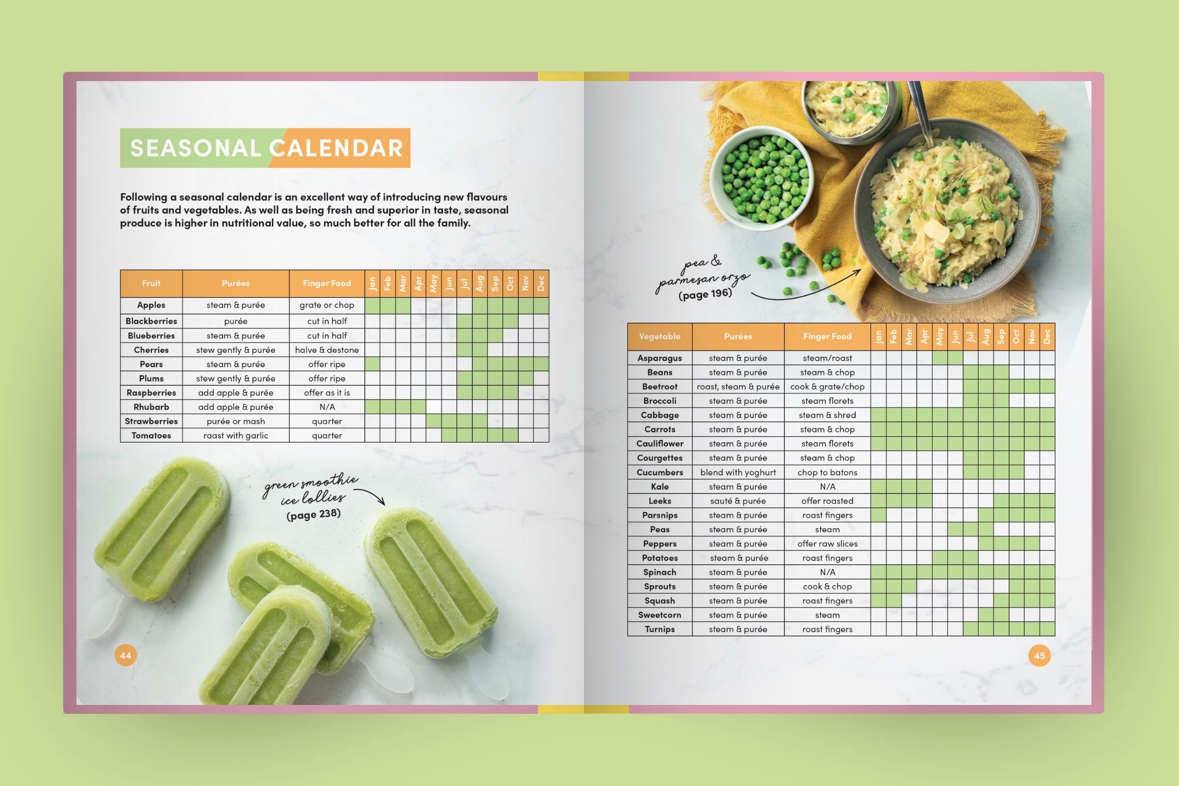 Baby & Family Recipe Book Design by Shika Finnemore, Dashy Creative