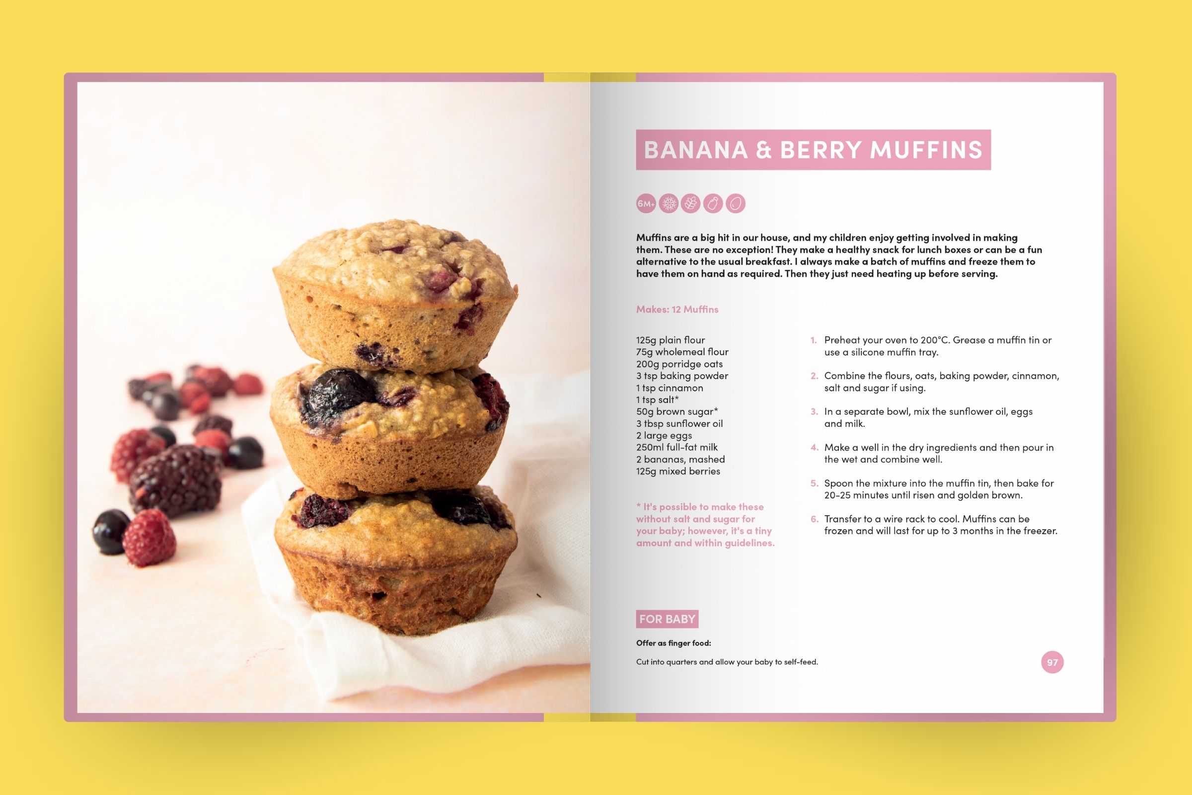 Baby & Family Recipe Book Design by Shika Finnemore, Dashy Creative